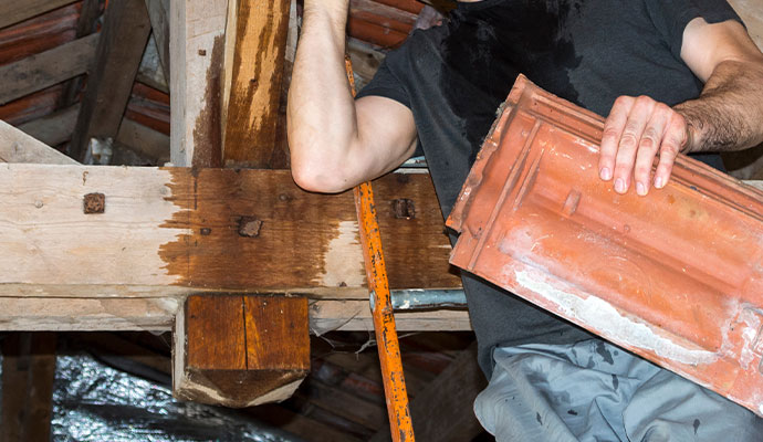 A man holding a roof tile in a water stained attic