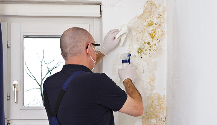 A man in overalls cleaning mold on a wall