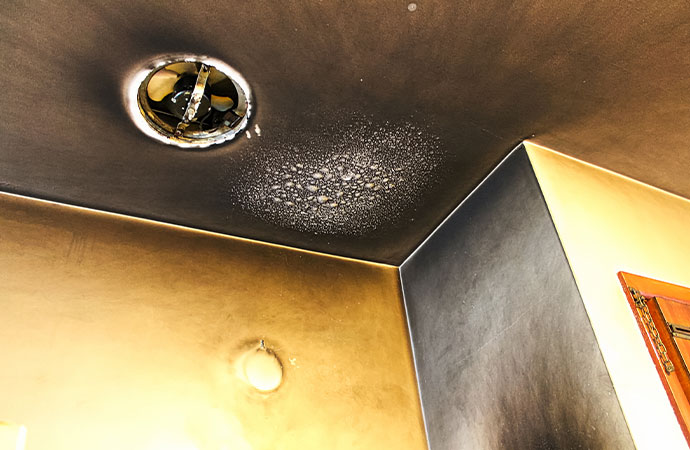 Addressing Smoke and Soot Damage - Professional Restoration Services