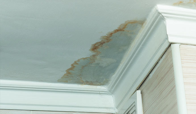 Brown water stains on a ceiling near crown molding