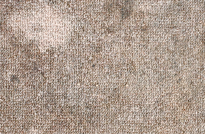 Carpet Water Damage Restoration in Billings & Laurel, MT