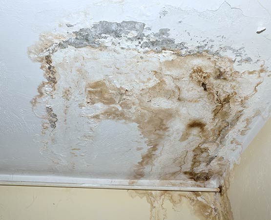 Severe ceiling water damage with brown stains peeling paint.