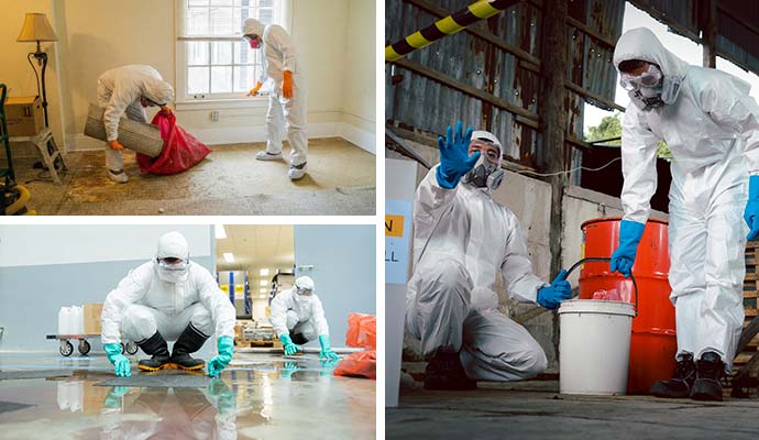 Collage of commercial biohazard cleanup services