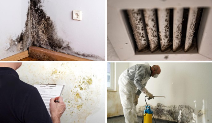 Collage of mold damaged wall and HVAC system, mold inspection and mold remediation service