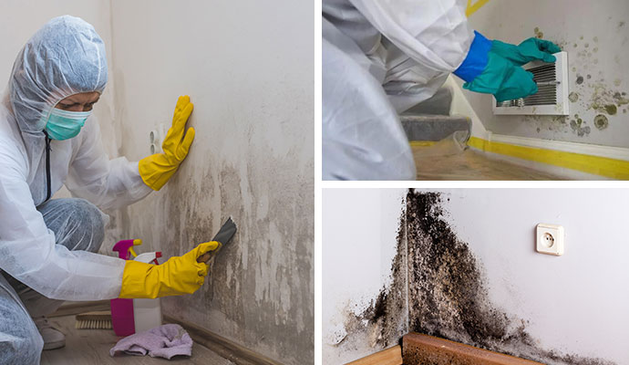 Collage of mold removal from wall, HVAC, and black mold on room corner