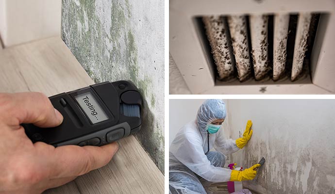 Collage of mold testing, mold damaged HVAC and mold remediation service