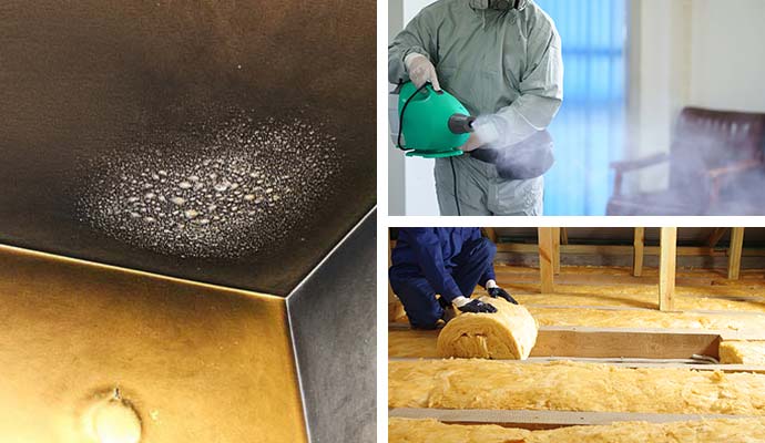 Collage of smoke damage, disinfection fogging, and insulation services