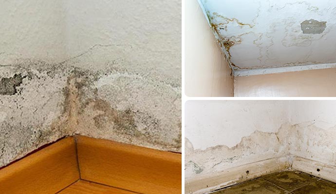 Collage of structural water damage