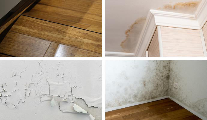Collage of water damaged wood floor, ceiling, wall and mold damaged wall