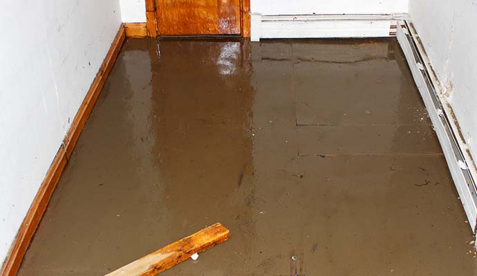 commercial sewage cleanup