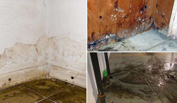 water damage restoration & sewage removal