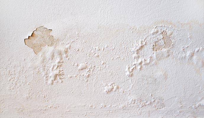 Damaged wall