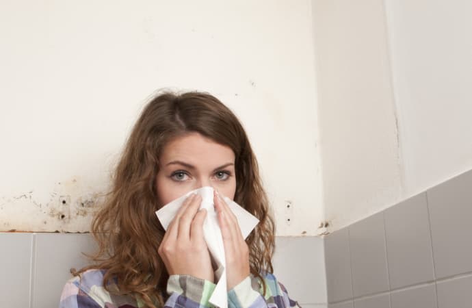 effects of mold in the workplace