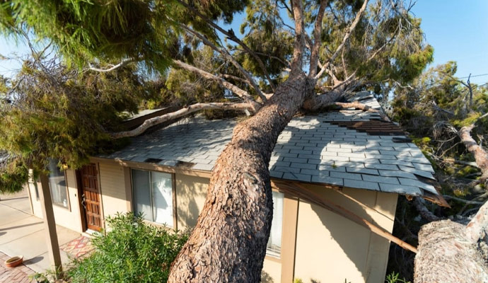 Storm Damage Restoration