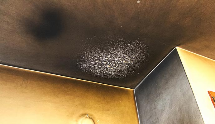 Smoke damaged ceiling