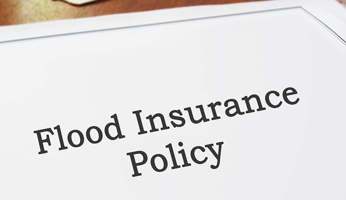 flood insurance policy