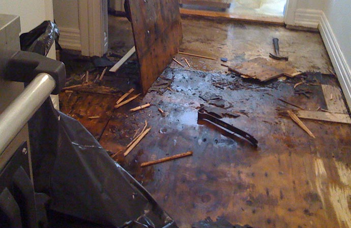 Floor Water Damage Restoration in Billings & Laurel, MT