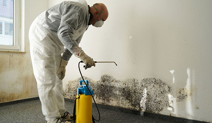 Hospital Mold remediation