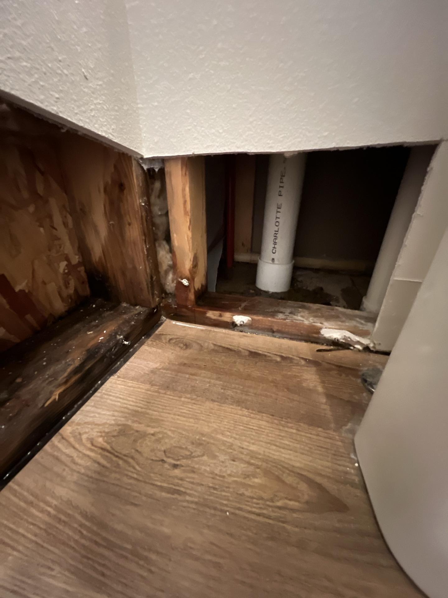 Close-up view of a wet subfloor and sill plate in the bathroom, revealing water damage, exposed framing, plumbing, and microbial growth.