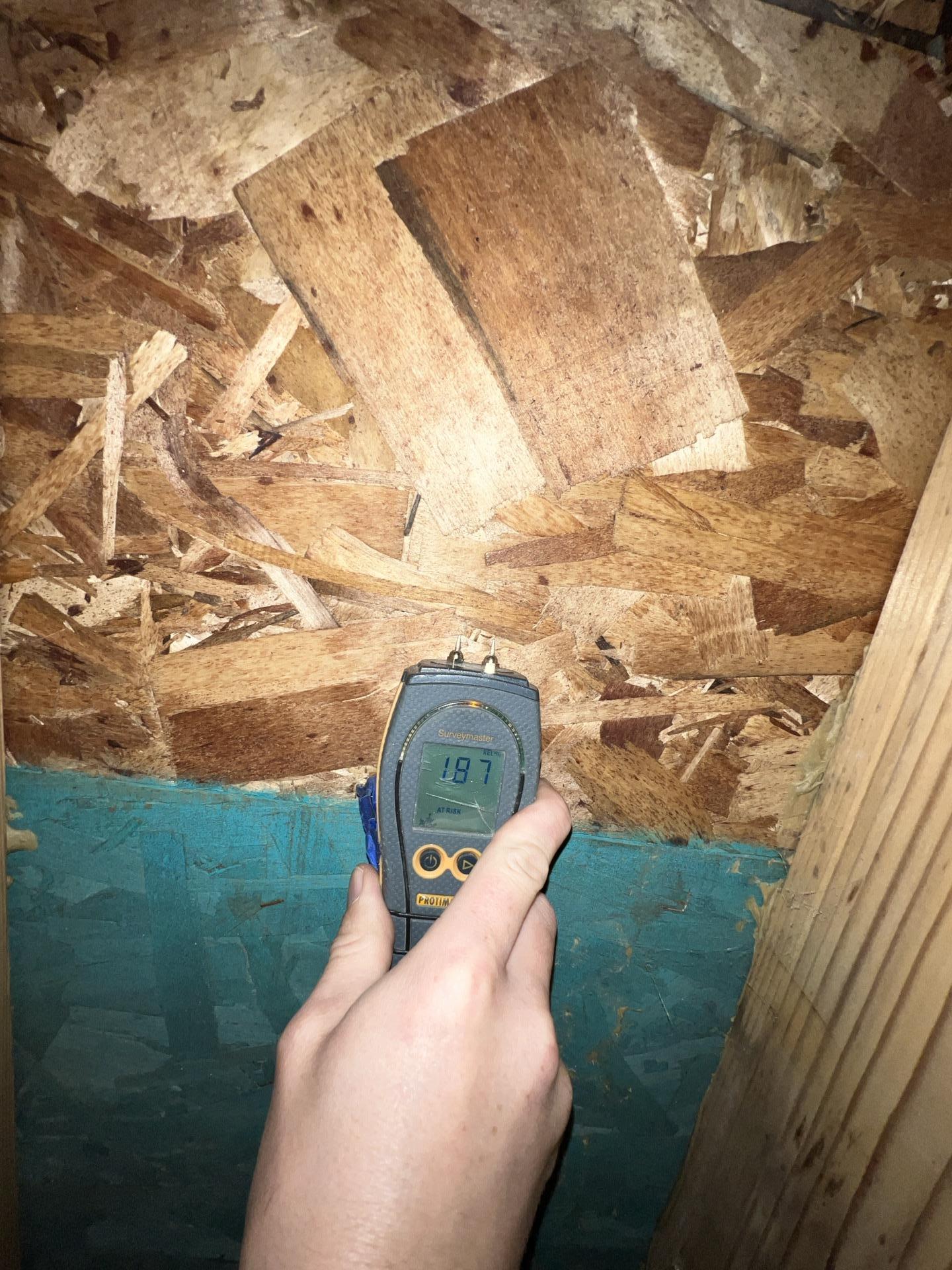 A hand holding a Protimeter Surveymaster showing a wood moisture content reading of 19.7% on OSB board in a crawlspace, indicating high moisture.