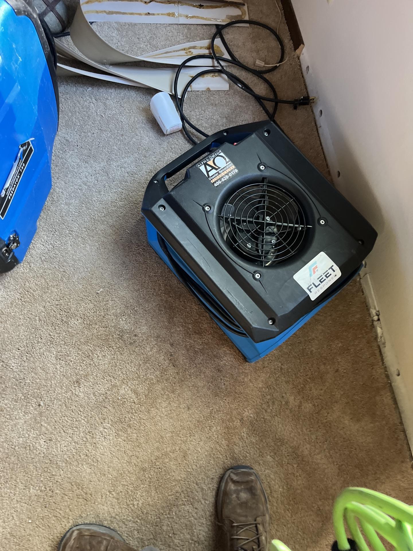 An Alpha-Omega Disaster Restoration branded black air mover on a carpeted floor, actively drying a water-affected area near a wall.