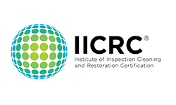 IIRC Logo