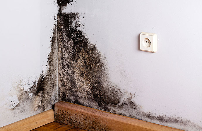 man wear unform black mold remediation