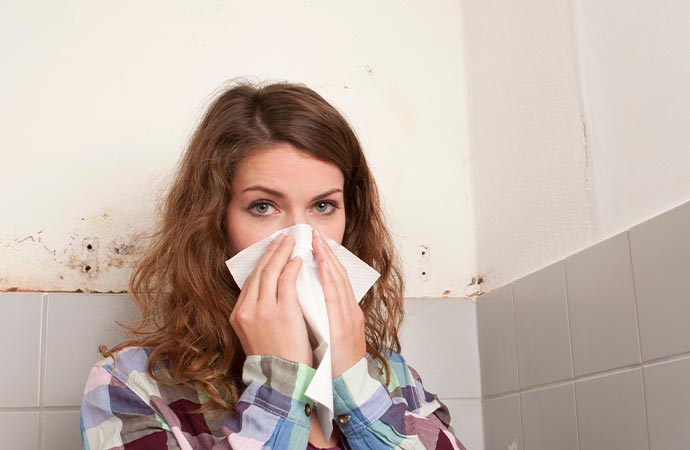 Mold Structural Damage Restoration in Billings, MT