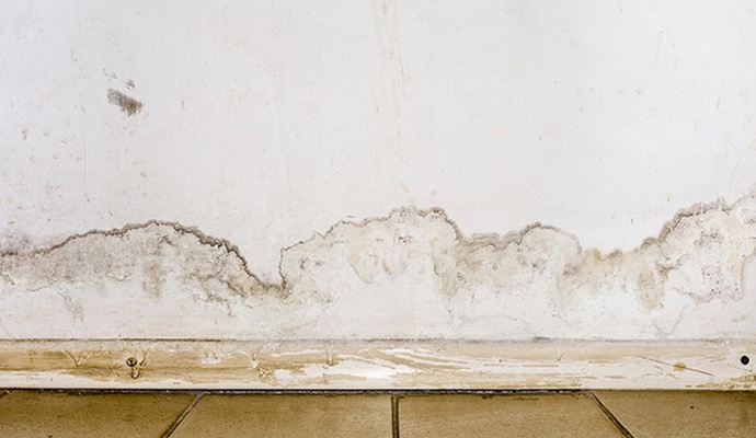 Mold and peeling paint on a water damaged wall