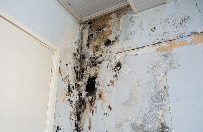 Clogged drain overflow cleanup service