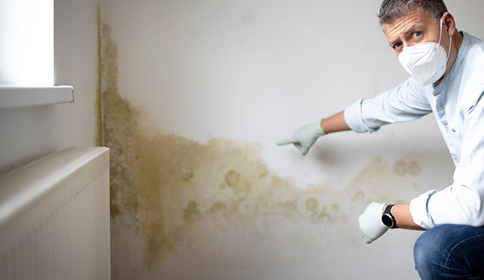 Mold growth on wall