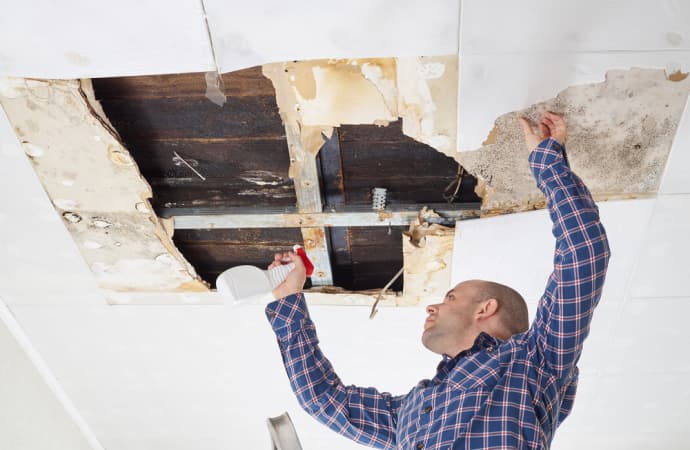 Mold In The Workplace