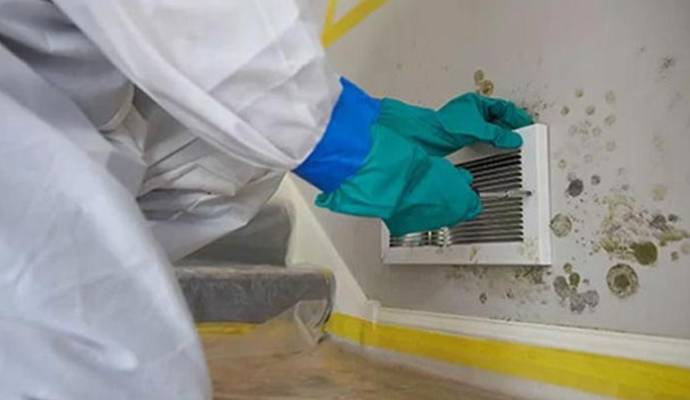 Professional worker removing mold