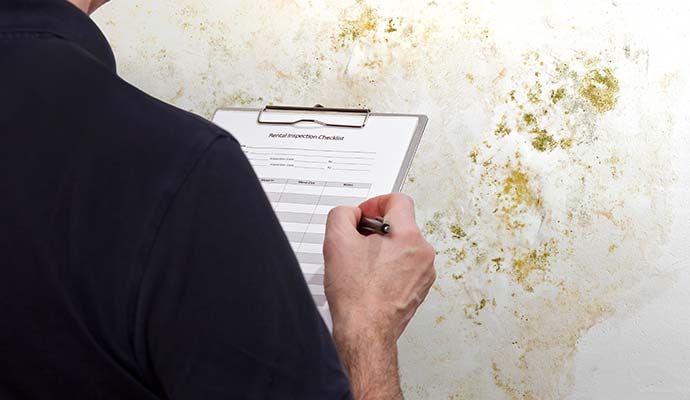 Inspector checking mold damage on wall