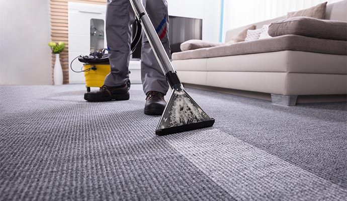 Professional cleaning service for carpet