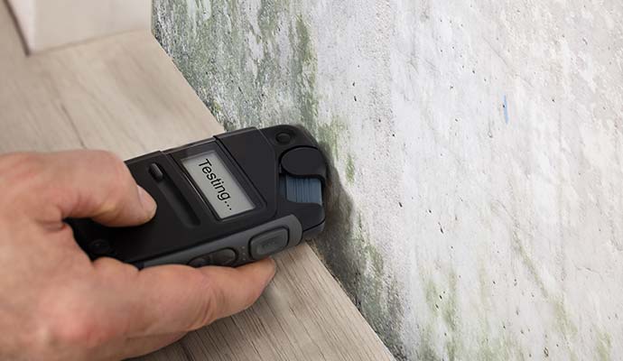 Technician testing a mold-damaged wall