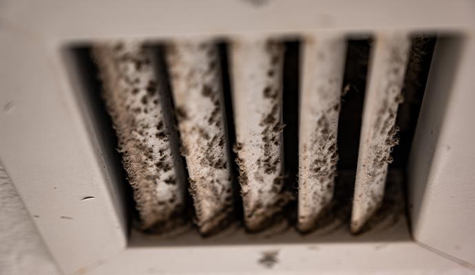 HVAC air vent covered with mold and dust