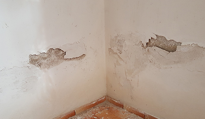 Paint peeling off the wall due to water damage