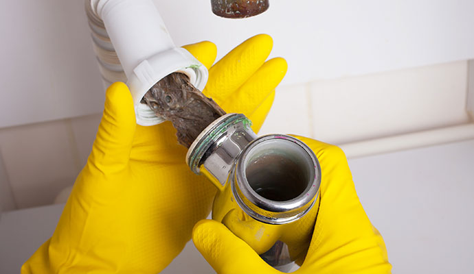 Plumbing pipe blockage removal