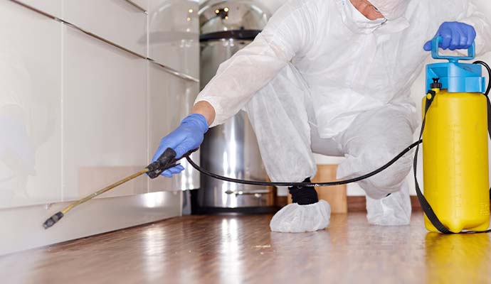 Professional applying disinfecting spray