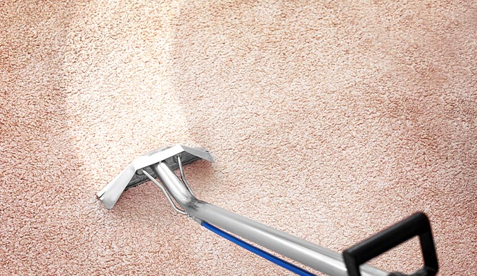 Professional carpet cleaning process using specialized equipment