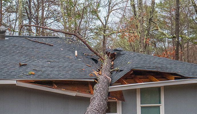Large tree fallen onto a residential house roof after a severe storm
