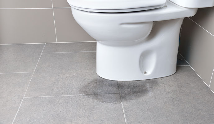 Sewage leak in the toilet