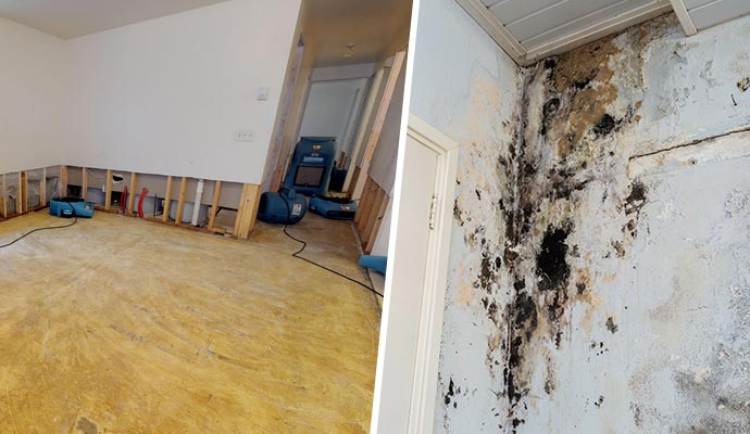 Collage of water damage restoration process and black mold growth on an interior wall