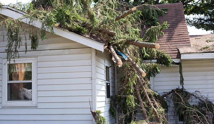 Residential home roof and siding damaged by tree fallen during heavy windstorm