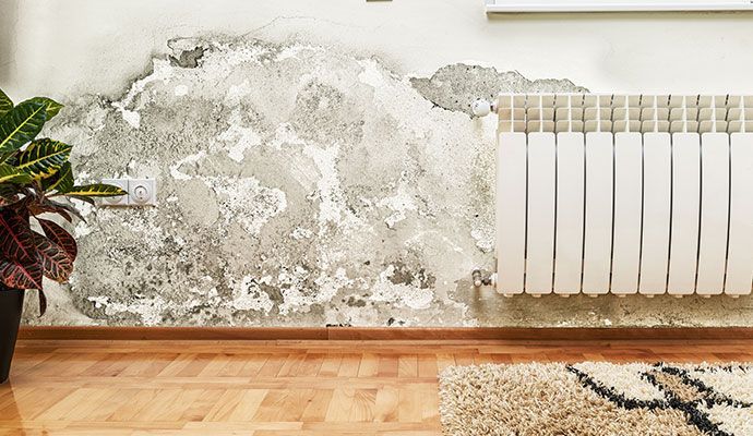 Structural damage molded wall