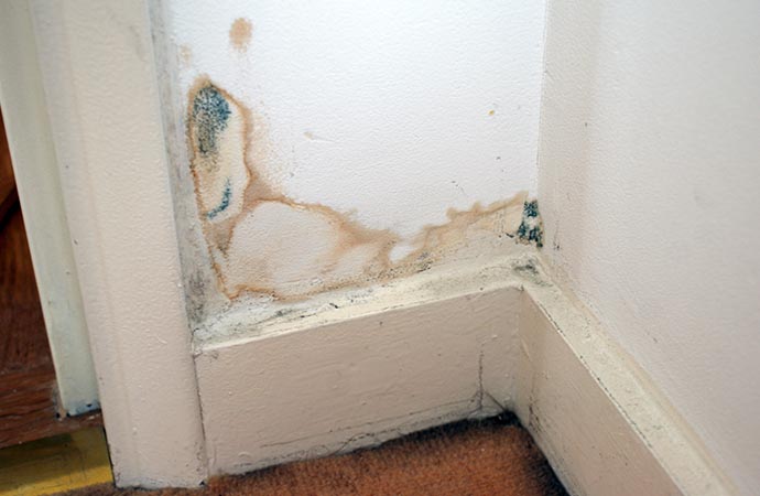 Damage Claim Support in Billings & Lauren, MT | Alpha Omega