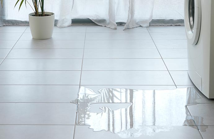Washing Machine Leak Cleanup & Restoration in Billings, MT