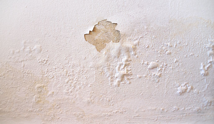 Damaged drywall