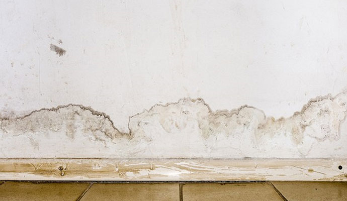 Moisture damaged wall